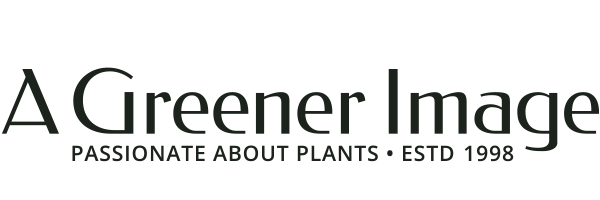 A Greener Image