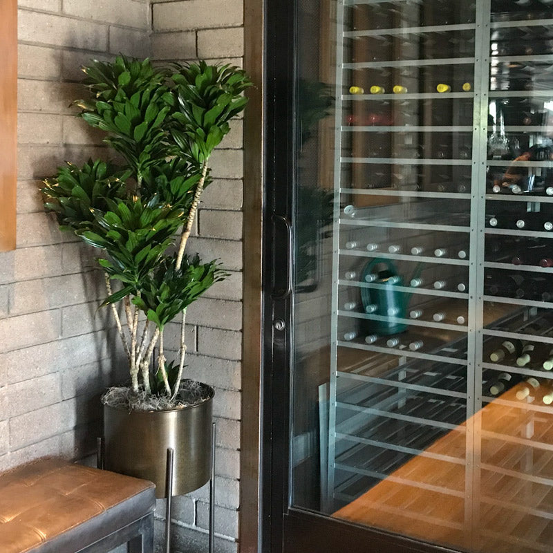 Photo of AGI plants at a local restaurant