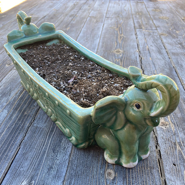 Green Elephants Rectangle Ceramic Container